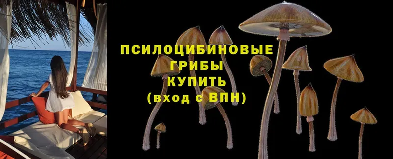 Галлюциногенные грибы GOLDEN TEACHER  цены   Красноуфимск 